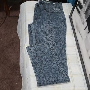 Faded Glory jeans 👖